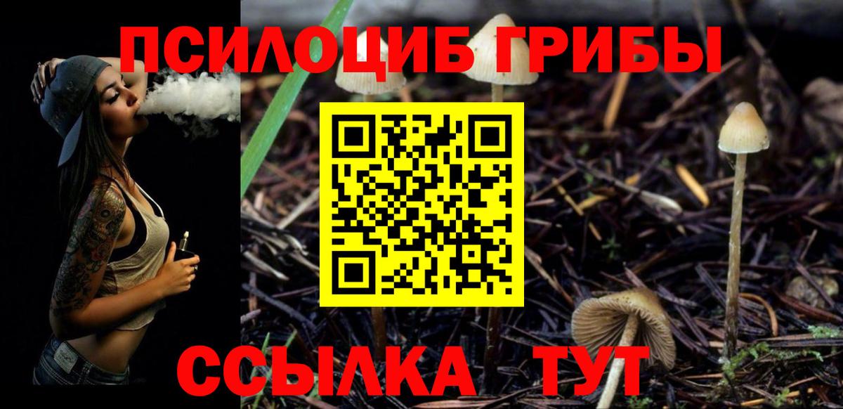 даркнет сайт  Вход с VPN  Тара  Галлюциногенные грибы ЛСД 