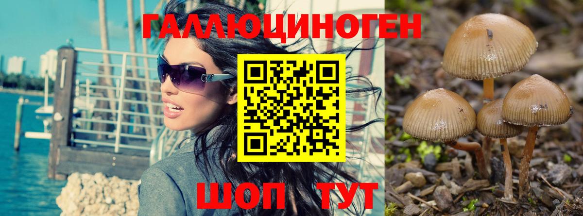 Псилоцибиновые грибы прущие грибы Тара